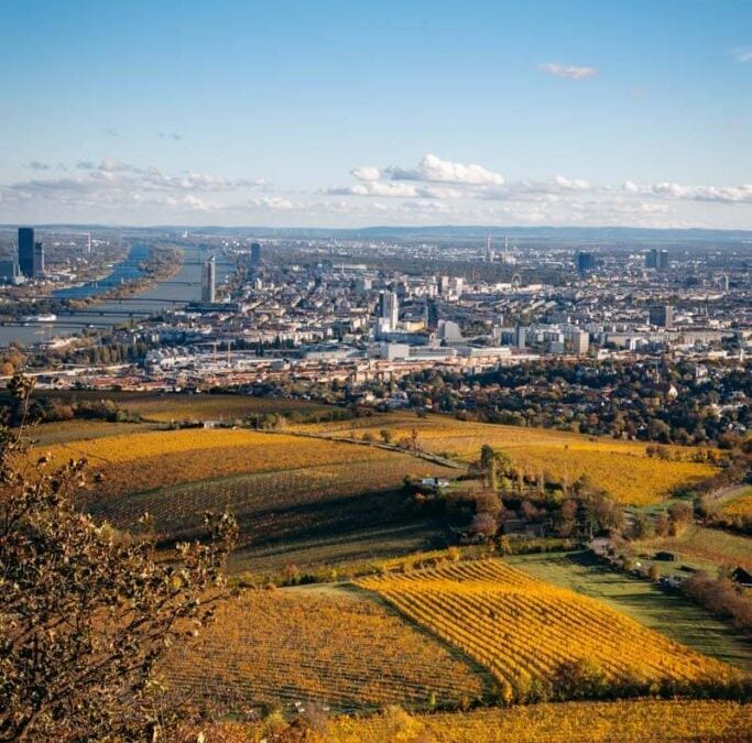 Kahlenberg View, Vienna City Walk 1, Austria