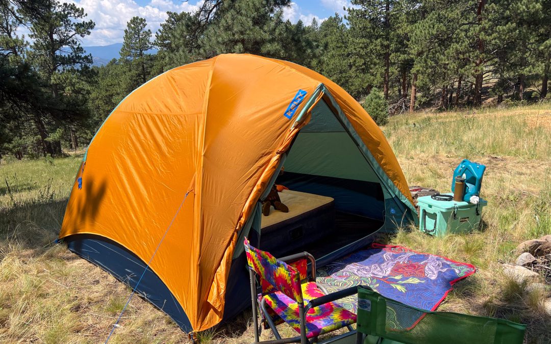 The image shows a side view of the Wireless 6 with the front vestibule open and rolled back. There is a stakes out guy line showing the tightness of the fly when guyed out. The tent it in a grassy environment with trees in the background.